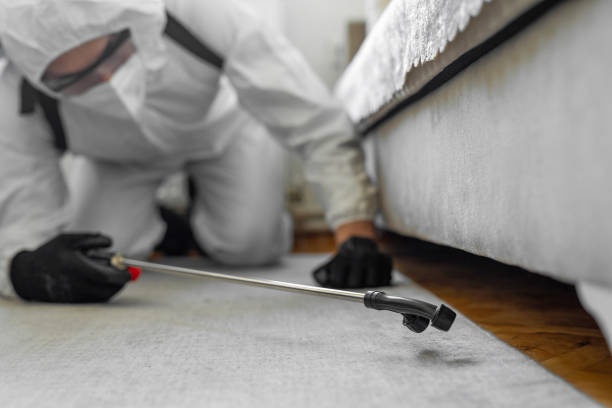 Professional Cockroach Control technician working in Adams County County, IA